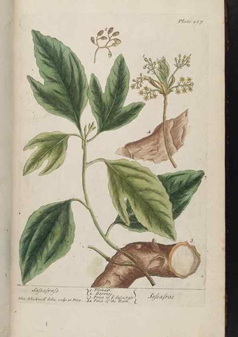 Reproducción/Reproduction 8361108171: A curious herbal. London : Printed for Samuel Harding, 1737-1739.