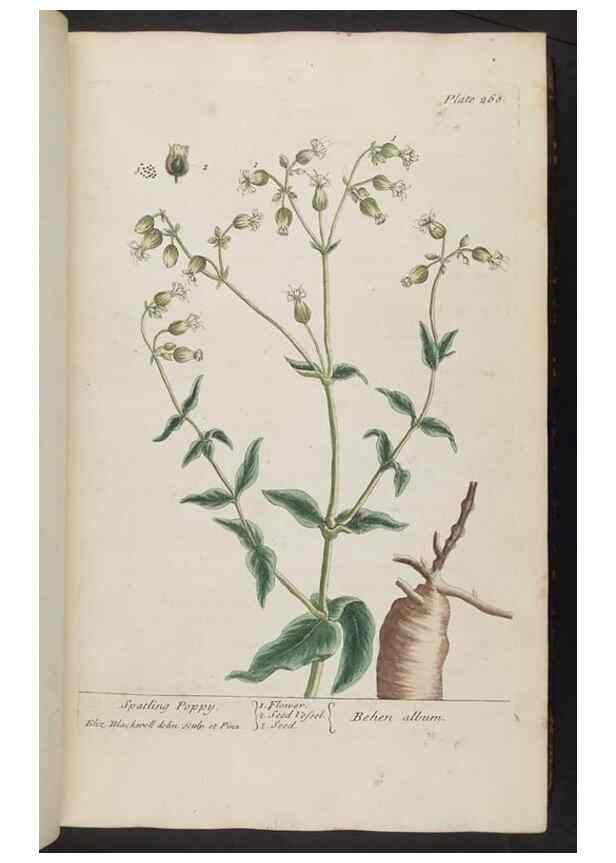 Reproducción/Reproduction 8361108373: A curious herbal. London : Printed for Samuel Harding, 1737-1739.