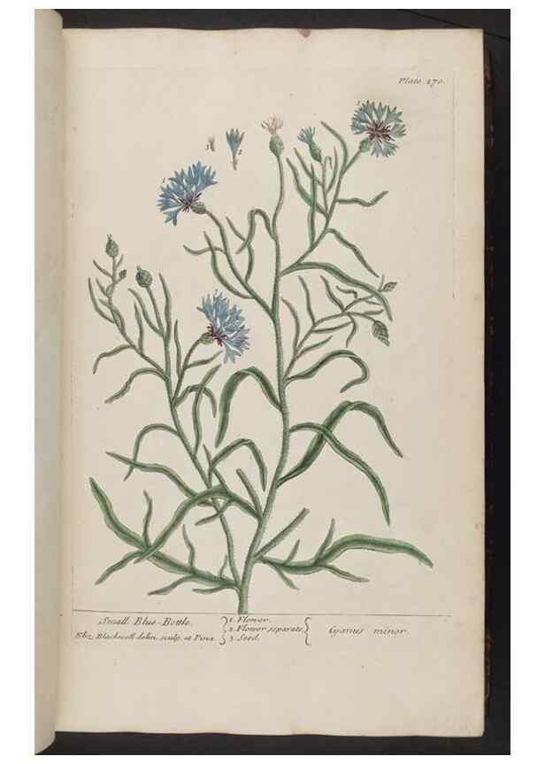 Reproducción/Reproduction 8361108701: A curious herbal. London : Printed for Samuel Harding, 1737-1739.