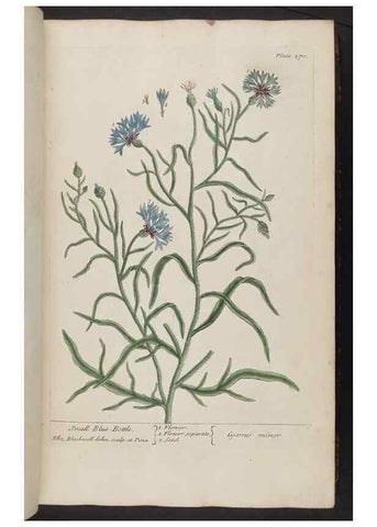 Reproducción/Reproduction 8361108701: A curious herbal. London : Printed for Samuel Harding, 1737-1739.