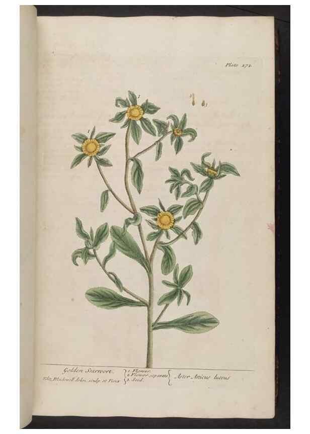 Reproducción/Reproduction 8362170828: A curious herbal. London : Printed for Samuel Harding, 1737-1739.