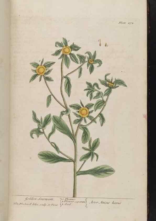 Reproducción/Reproduction 8362170828: A curious herbal. London : Printed for Samuel Harding, 1737-1739.