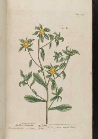 Reproducción/Reproduction 8362170828: A curious herbal. London : Printed for Samuel Harding, 1737-1739.