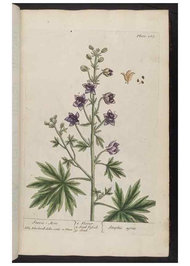 Reproducción/Reproduction 8362169090: A curious herbal. London : Printed for Samuel Harding, 1737-1739.
