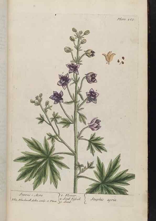 Reproducción/Reproduction 8362169090: A curious herbal. London : Printed for Samuel Harding, 1737-1739.