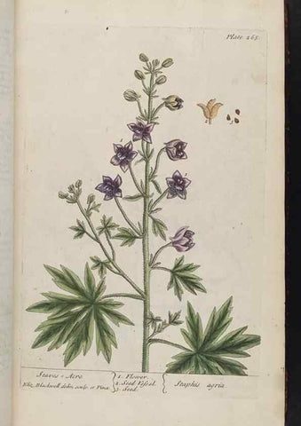 Reproducción/Reproduction 8362169090: A curious herbal. London : Printed for Samuel Harding, 1737-1739.