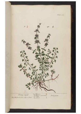 Reproducción/Reproduction 8362179186: A curious herbal. London : Printed for Samuel Harding, 1737-1739.