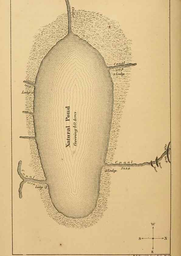 Reproducción/Reproduction 8357343717: The American beaver and his works.. Philadelphia,J.B. Lippincott & Co.,1868.