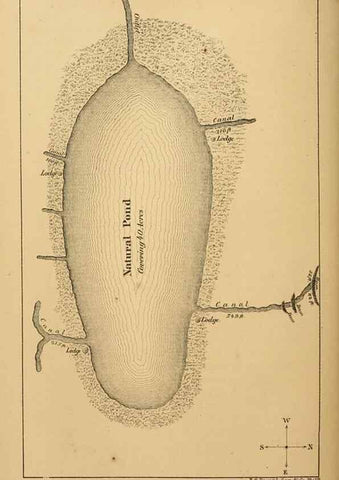 Reproducción/Reproduction 8357343717: The American beaver and his works.. Philadelphia,J.B. Lippincott & Co.,1868.