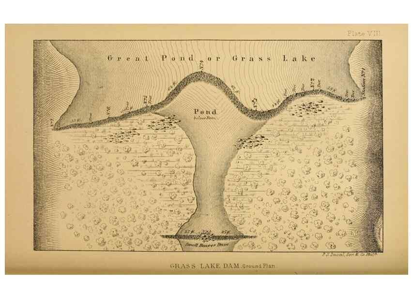 Reproducción/Reproduction 8358395928: The American beaver and his works.. Philadelphia,J.B. Lippincott & Co.,1868.