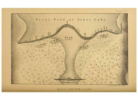 Reproducción/Reproduction 8358395928: The American beaver and his works.. Philadelphia,J.B. Lippincott & Co.,1868.