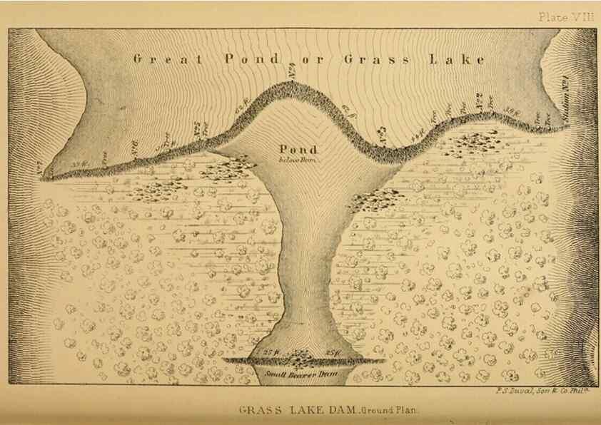 Reproducción/Reproduction 8358395928: The American beaver and his works.. Philadelphia,J.B. Lippincott & Co.,1868.