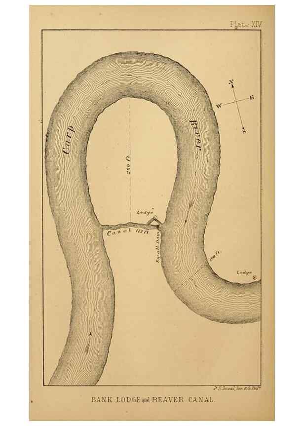 Reproducción/Reproduction 8358402794: The American beaver and his works.. Philadelphia,J.B. Lippincott & Co.,1868.