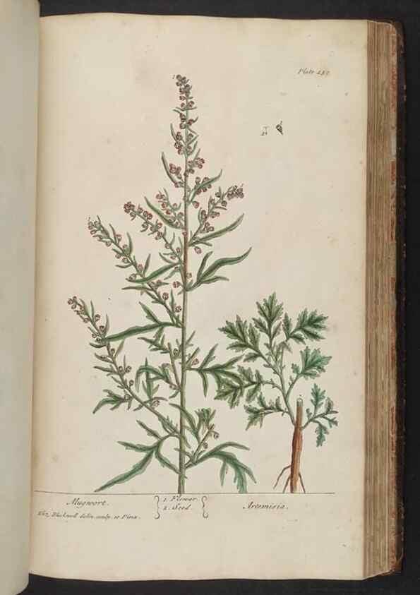 Reproducción/Reproduction 8361151629: A curious herbal. London : Printed for Samuel Harding, 1737-1739.