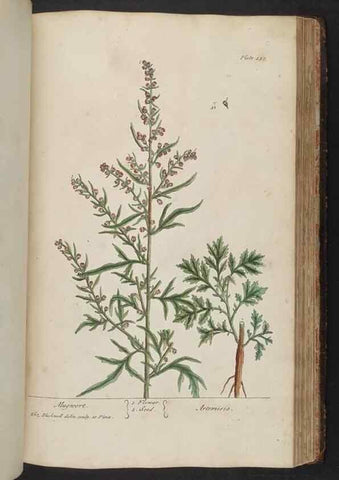 Reproducción/Reproduction 8361151629: A curious herbal. London : Printed for Samuel Harding, 1737-1739.
