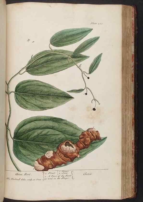 Reproducción/Reproduction 8362213520: A curious herbal. London : Printed for Samuel Harding, 1737-1739.