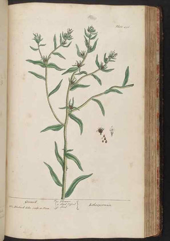 Reproducción/Reproduction 8362214444: A curious herbal. London : Printed for Samuel Harding, 1737-1739.