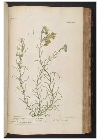 Reproducción/Reproduction 8361153533: A curious herbal. London : Printed for Samuel Harding, 1737-1739.