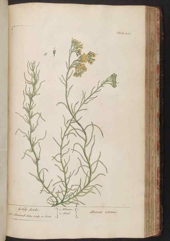 Reproducción/Reproduction 8361153533: A curious herbal. London : Printed for Samuel Harding, 1737-1739.