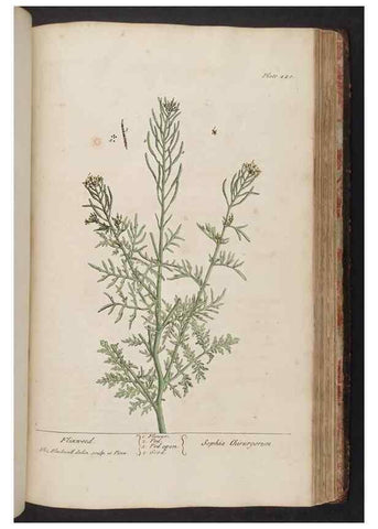 Reproducción/Reproduction 8362215614: A curious herbal. London : Printed for Samuel Harding, 1737-1739.