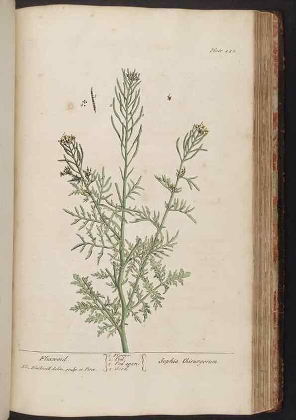 Reproducción/Reproduction 8362215614: A curious herbal. London : Printed for Samuel Harding, 1737-1739.