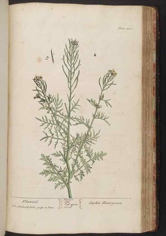 Reproducción/Reproduction 8362215614: A curious herbal. London : Printed for Samuel Harding, 1737-1739.