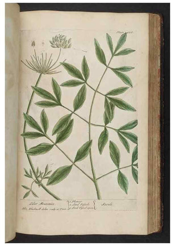 Reproducción/Reproduction 8361150041: A curious herbal. London : Printed for Samuel Harding, 1737-1739.