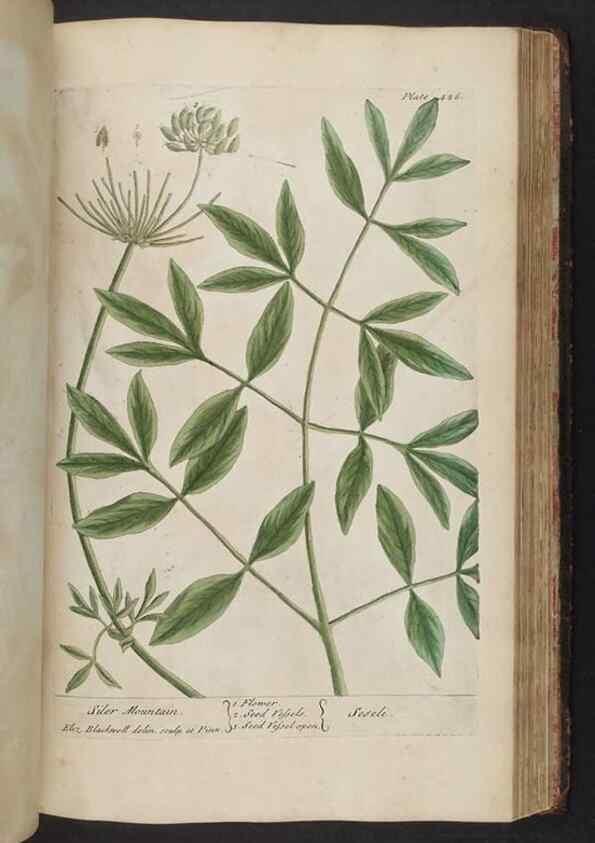 Reproducción/Reproduction 8361150041: A curious herbal. London : Printed for Samuel Harding, 1737-1739.
