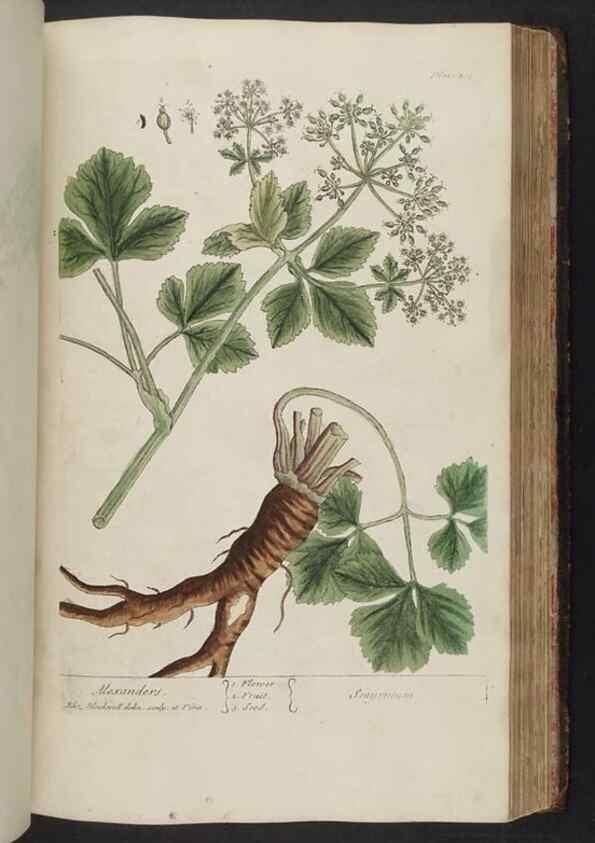 Reproducción/Reproduction 8361145413: A curious herbal. London : Printed for Samuel Harding, 1737-1739.