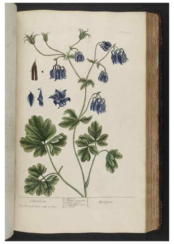 Reproducción/Reproduction 8361145703: A curious herbal. London : Printed for Samuel Harding, 1737-1739.