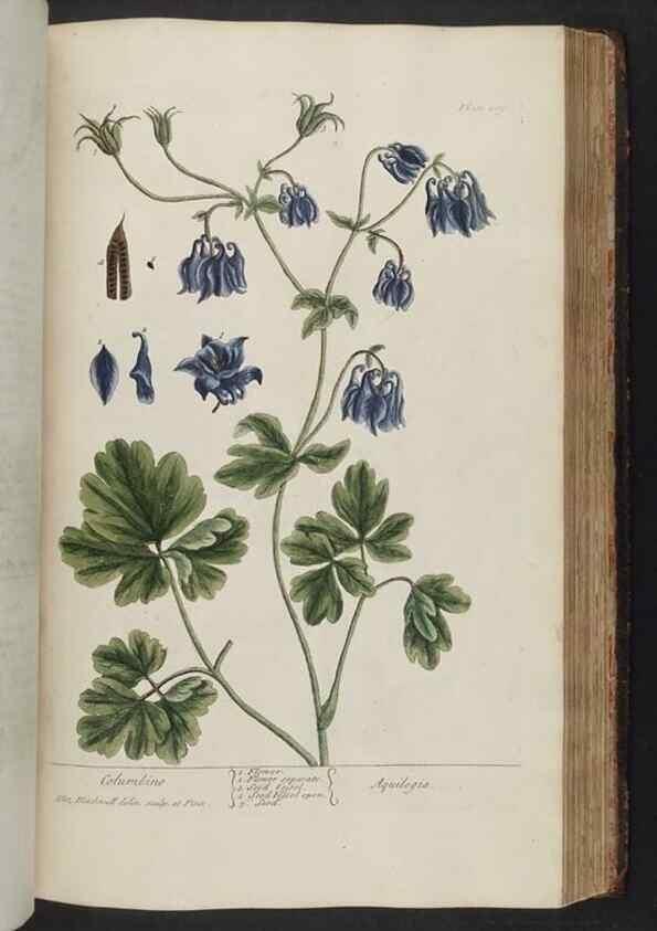 Reproducción/Reproduction 8361145703: A curious herbal. London : Printed for Samuel Harding, 1737-1739.
