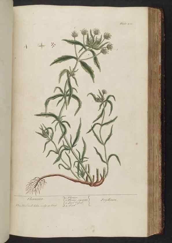 Reproducción/Reproduction 8362207888: A curious herbal. London : Printed for Samuel Harding, 1737-1739.
