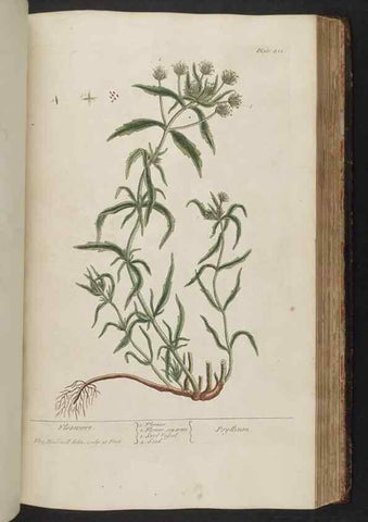 Reproducción/Reproduction 8362207888: A curious herbal. London : Printed for Samuel Harding, 1737-1739.
