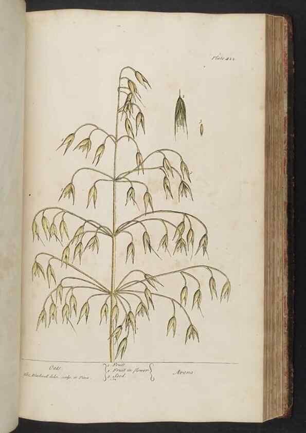 Reproducción/Reproduction 8362210456: A curious herbal. London : Printed for Samuel Harding, 1737-1739.