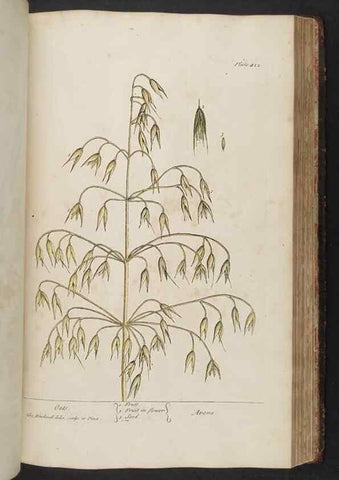 Reproducción/Reproduction 8362210456: A curious herbal. London : Printed for Samuel Harding, 1737-1739.