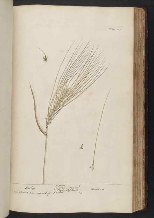 Reproducción/Reproduction 8361149267: A curious herbal. London : Printed for Samuel Harding, 1737-1739.