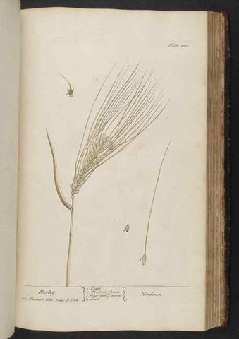 Reproducción/Reproduction 8361149267: A curious herbal. London : Printed for Samuel Harding, 1737-1739.