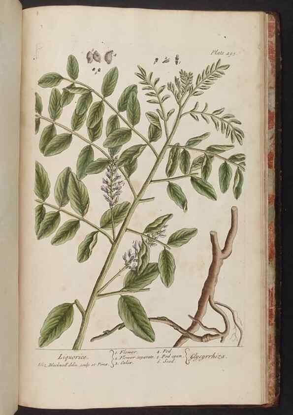 Reproducción/Reproduction 8362233004: A curious herbal. London : Printed for Samuel Harding, 1737-1739.