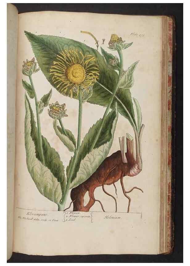 Reproducción/Reproduction 8362227716: A curious herbal. London : Printed for Samuel Harding, 1737-1739.