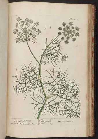 Reproducción/Reproduction 8361166237: A curious herbal. London : Printed for Samuel Harding, 1737-1739.