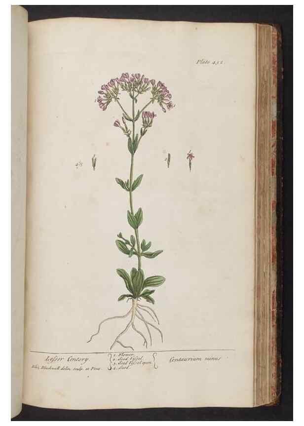 Reproducción/Reproduction 8362221278: A curious herbal. London : Printed for Samuel Harding, 1737-1739.