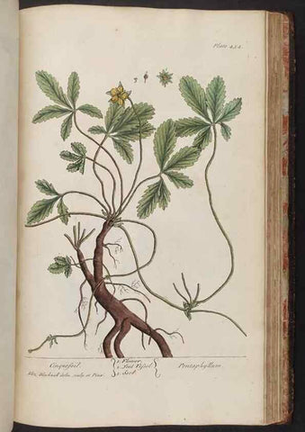 Reproducción/Reproduction 8362221996: A curious herbal. London : Printed for Samuel Harding, 1737-1739.