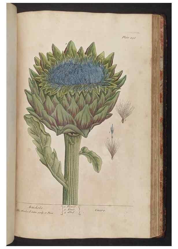 Reproducción/Reproduction 8362222988: A curious herbal. London : Printed for Samuel Harding, 1737-1739.