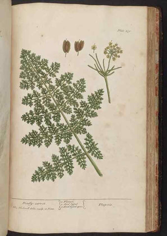 Reproducción/Reproduction 8362223256: A curious herbal. London : Printed for Samuel Harding, 1737-1739.