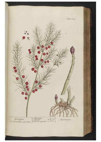 Reproducción/Reproduction 8362187022: A curious herbal. London : Printed for Samuel Harding, 1737-1739.
