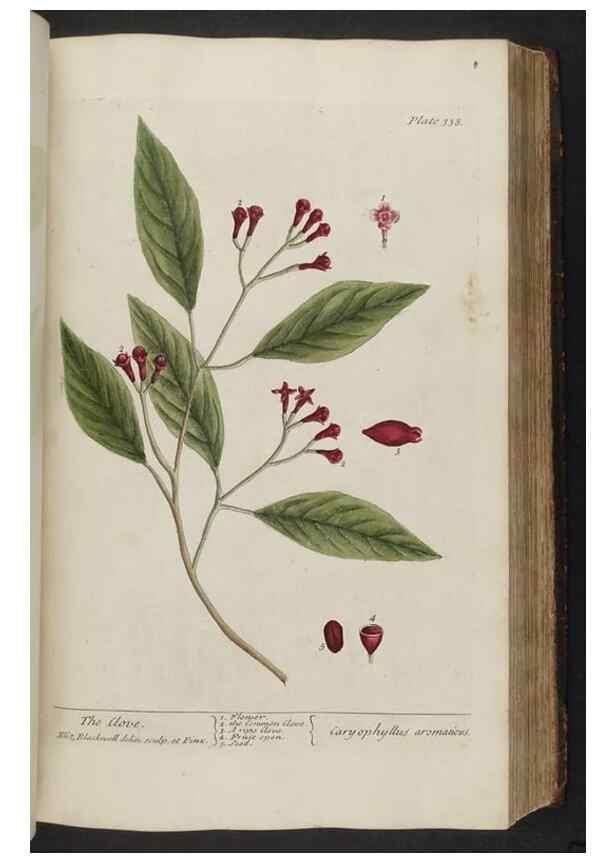 Reproducción/Reproduction 8362188646: A curious herbal. London : Printed for Samuel Harding, 1737-1739.