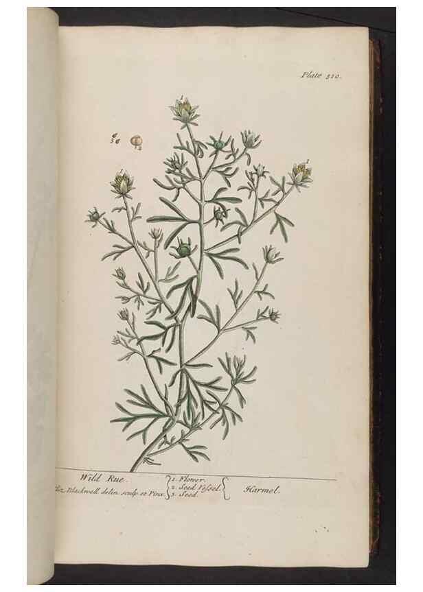 Reproducción/Reproduction 8362181578: A curious herbal. London : Printed for Samuel Harding, 1737-1739.