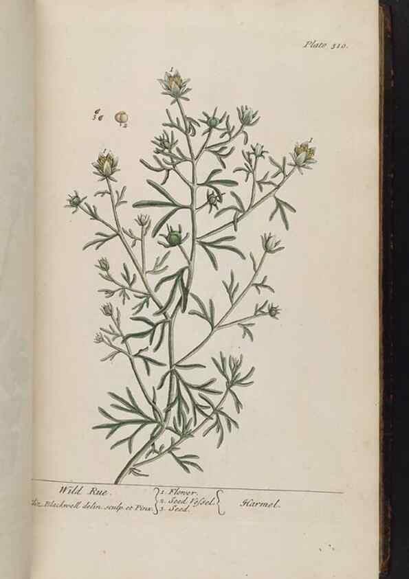 Reproducción/Reproduction 8362181578: A curious herbal. London : Printed for Samuel Harding, 1737-1739.