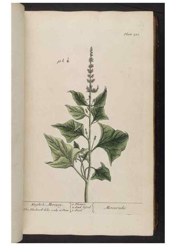 Reproducción/Reproduction 8361120289: A curious herbal. London : Printed for Samuel Harding, 1737-1739.