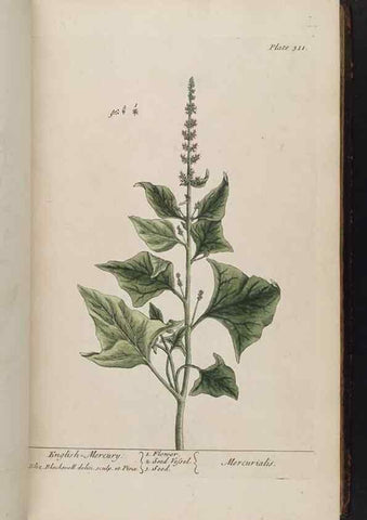 Reproducción/Reproduction 8361120289: A curious herbal. London : Printed for Samuel Harding, 1737-1739.